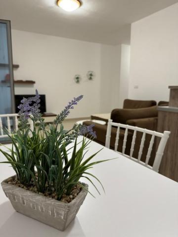 Beachsite Вльора Екстер'єр фото